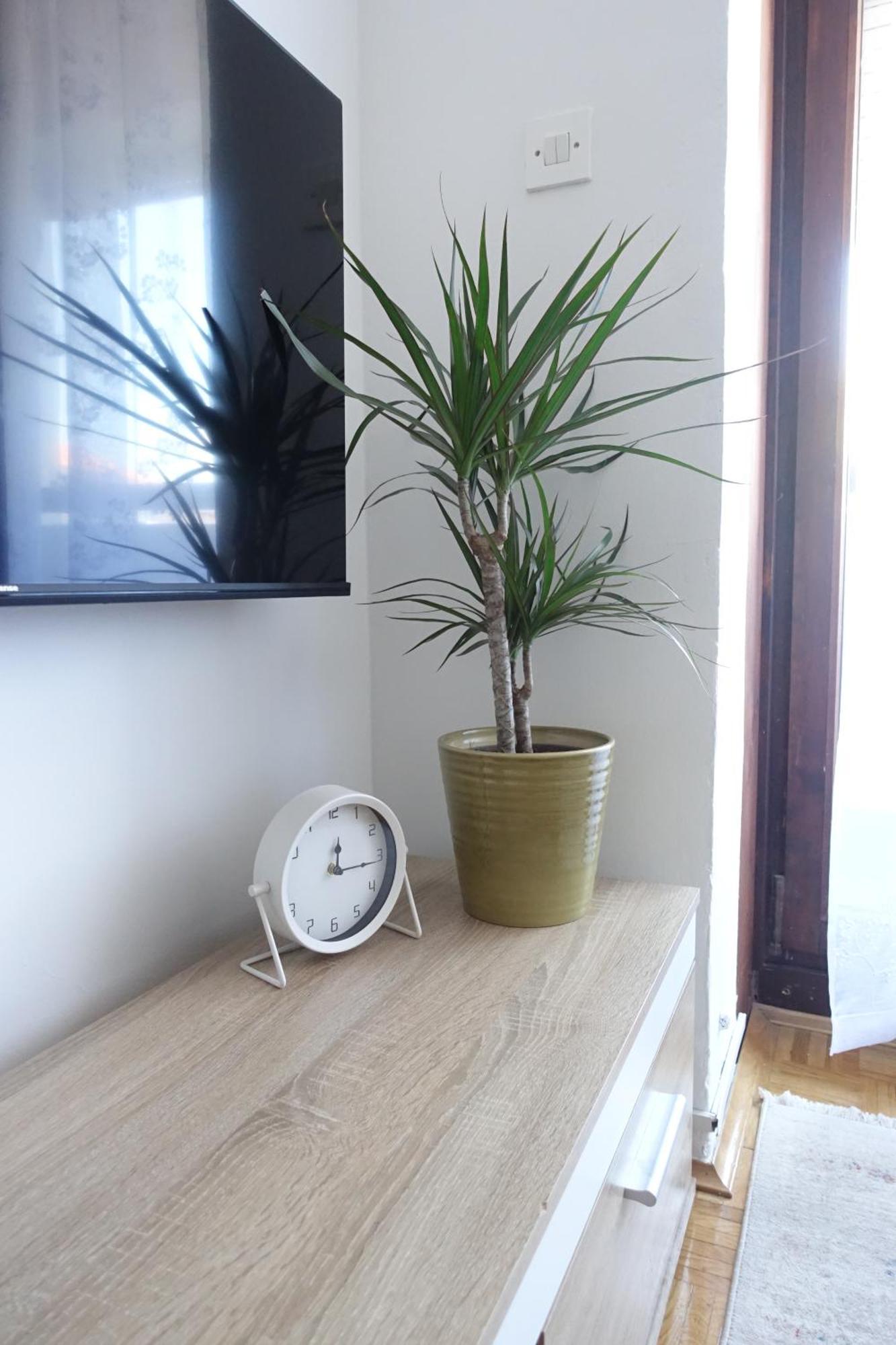 Apartman Tamara Задар Екстериор снимка